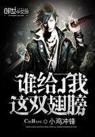 誰給了我這雙翅膀
